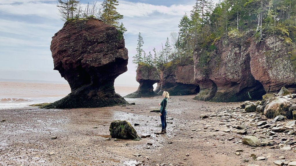 Hopewell Rocks things to do in moncton