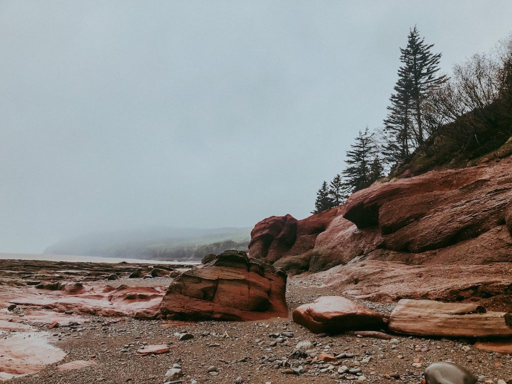 Fundy Park 5 must see things in New Brunswick